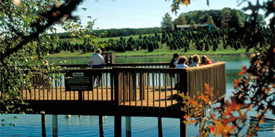 Huber Orchard & Winery