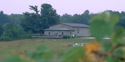 Madison Vineyards 2