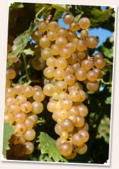  - [click to enlarge]