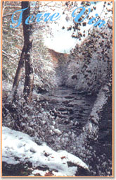 Terre Vin Winery Label