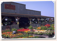 Wineries of Indiana - [click to enlarge]