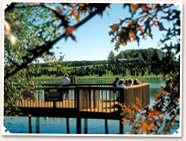 Wineries of Indiana - [click to enlarge]