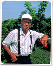 Wineries of Indiana - [click to enlarge]