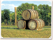 Wineries of Indiana - [click to enlarge]