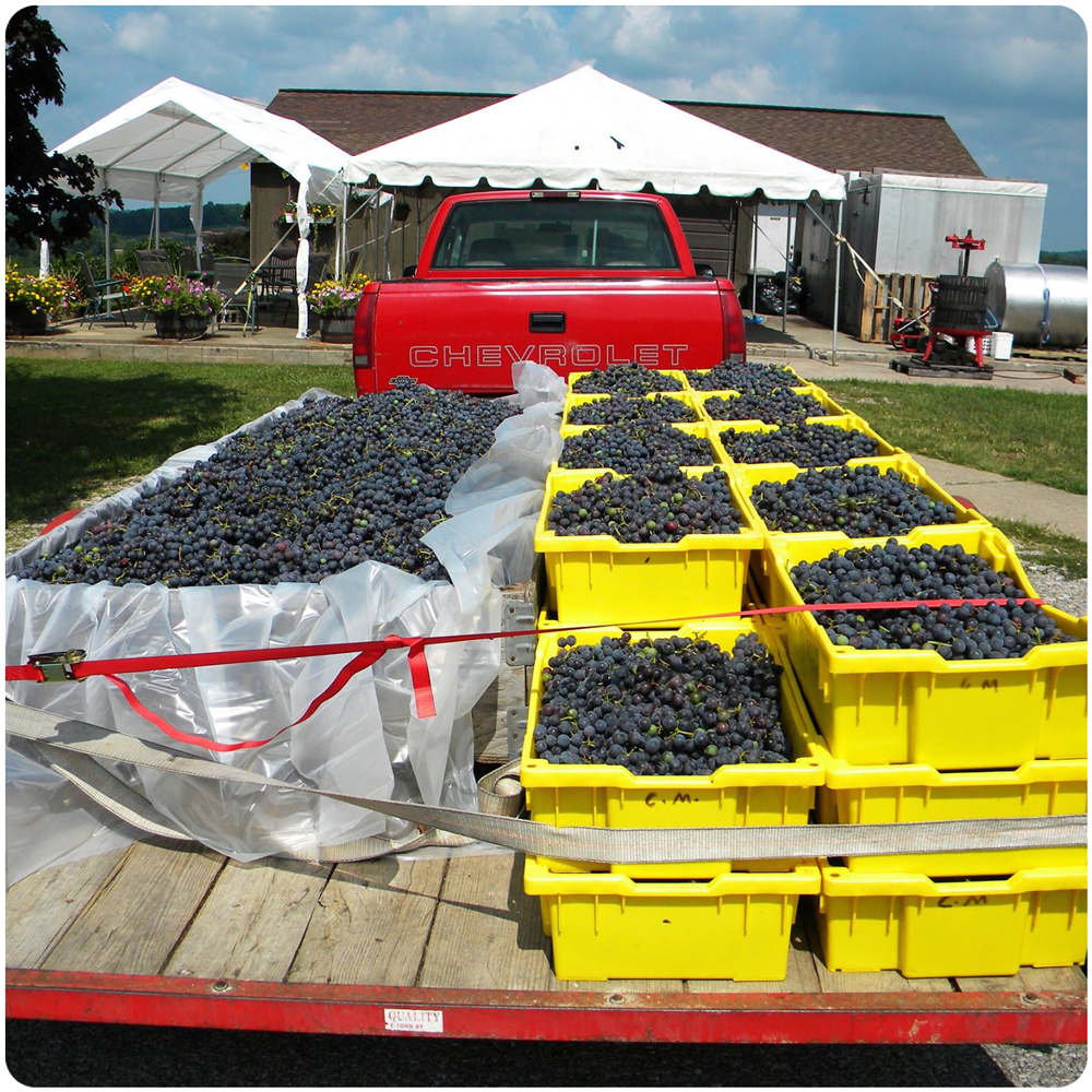 IndianaUplands_Winzerwald Winzerwald Winery